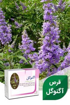 قرص اگنوگل گل دارو 100 عدد